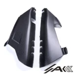 Ducati Panigale V4 Dry Carbon Fiber Exhaust Cover | AK Carbon - 图片 2