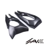 Ducati Panigale Streetfighter V4 Dry Carbon Fiber Swingarm Covers | AK Carbon