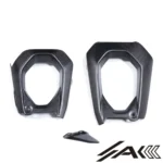 Ducati Panigale Streetfighter V4 Dry Carbon Fiber Swingarm Cover | AK Carbon