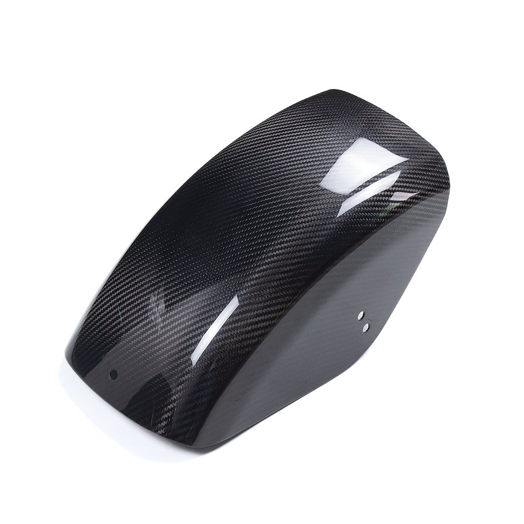 _MG_0146 Carbon Fiber Rear Fender for Harley Davidson Sportser 883/1200 X48 72 - 图片 1