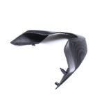 Ducati Panigale V4 Carbon Fiber Tail Fairing - 图片 8