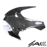 Kawasaki ZX10R Dry Carbon Fiber Front Fairing | Akfairings - 图片 3