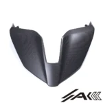Ducati Panigale V4 Carbon Fiber Tail Fairing