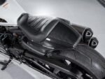 Carbon Fiber Rear Seat Side Panels for Harley Davidson Sportster S 1250 RH1250 2021+ - 图片 12
