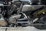 Carbon Fiber Seat Side Panel Fairing for Harley Davidson Sportster S 1250 RH1250 2021+ - 图片 15