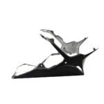 Carbon Fiber Belly Pan Undertray Lower Fairing for BMW S1000RR 2019-2025 - 图片 4