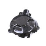 Carbon Fiber Engine cover for BMW S1000RR 2019-2025 - 图片 4