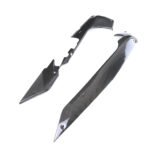 Carbon Fiber Front Lower Side Fairings for Harley Davidson Sportster S 1250 RH1250 2021+ - 图片 4
